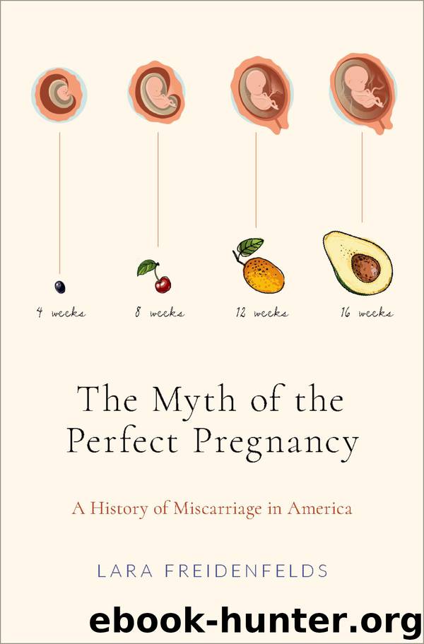 The Myth of the Perfect Pregnancy by Lara Freidenfelds