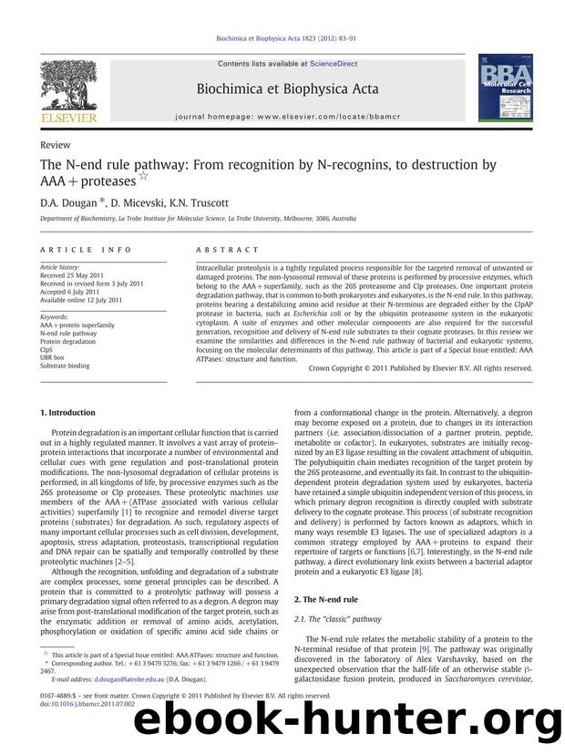 The N-end rule pathway: From recognition by N-recognins, to destruction by AAA+proteases by D.A. Dougan & D. Micevski & K.N. Truscott