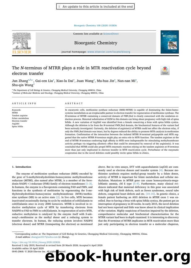 The N-terminus of MTRR plays a role in MTR reactivation cycle beyond electron transfer by Jun Zhang & Gui-cen Liu & Xiao-lu Dai & Juan Wang & Mu-hua Jin & Nan-nan Mi & Shu-qin Wang