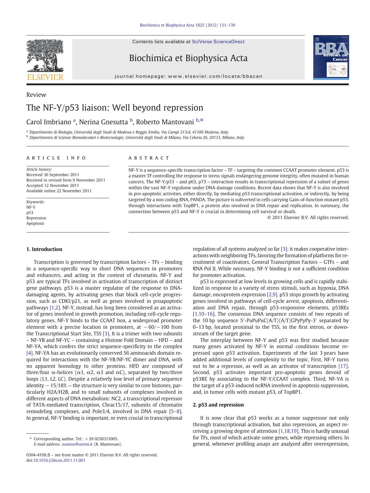 The NF-Yp53 liaison: Well beyond repression by Carol Imbriano & Nerina Gnesutta & Roberto Mantovani