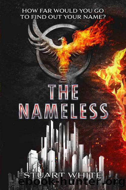 The Nameless: A Young Adult Dystopian Novel by Stuart White