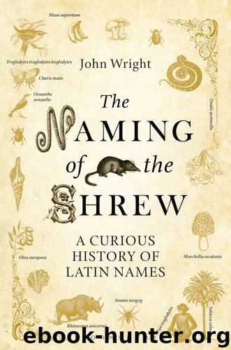 The Naming of the Shrew by John Wright