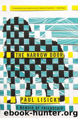 The Narrow Door by Paul Lisicky