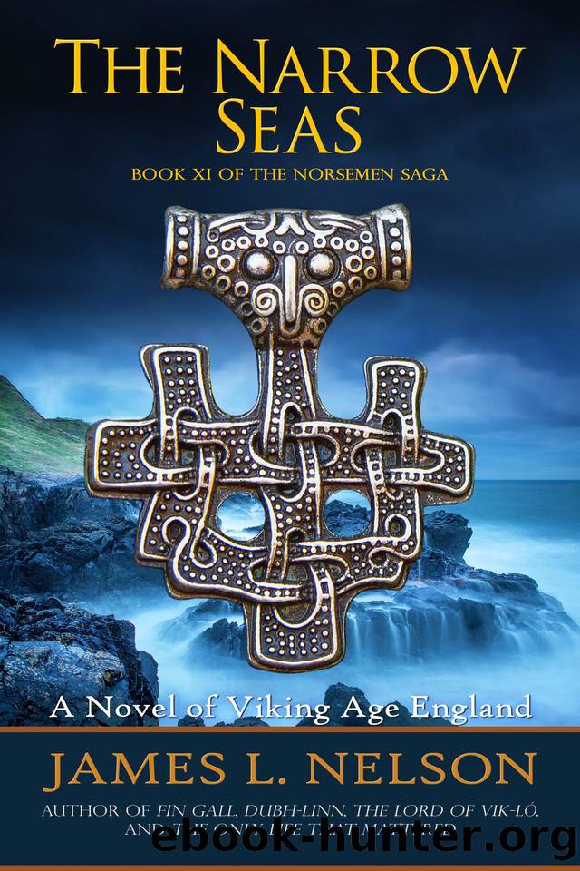 The Narrow Seas: Book XI of The Norsemen Saga by Nelson James L