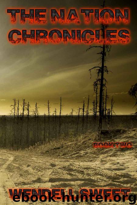 The Nation Chronicles: Book Two (The Nation Chronicles Trilogy 2) by Wendell Sweet