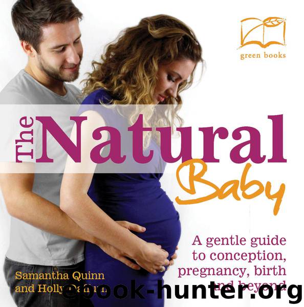 The Natural Baby: A gentle guide to conception, pregnancy, birth and beyond by Samantha Quinn & Holly Daffurn
