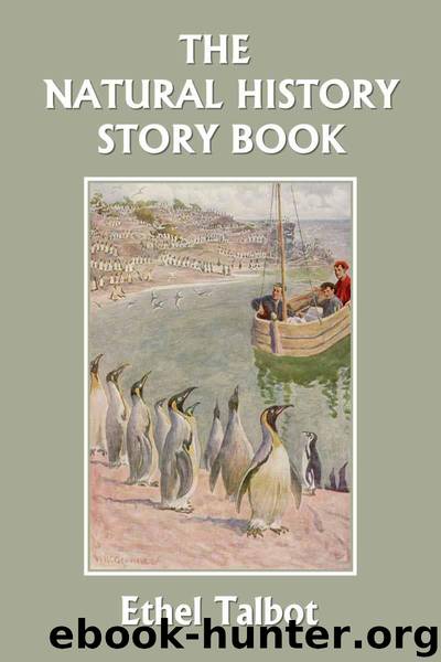 The Natural History Story Book (Yesterday's Classics) by Talbot Ethel