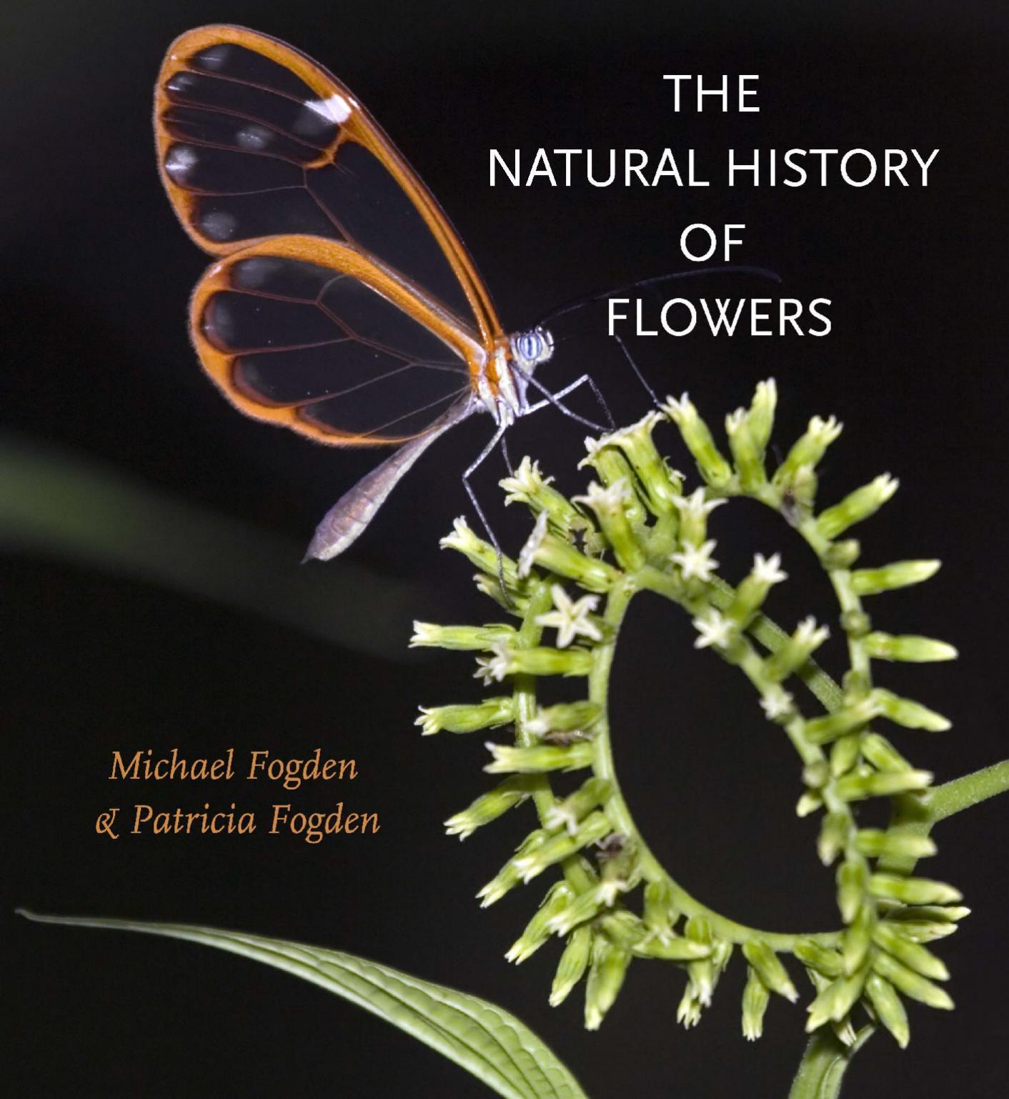The Natural History of Flowers by Michael Fogden; Patricia Fogden