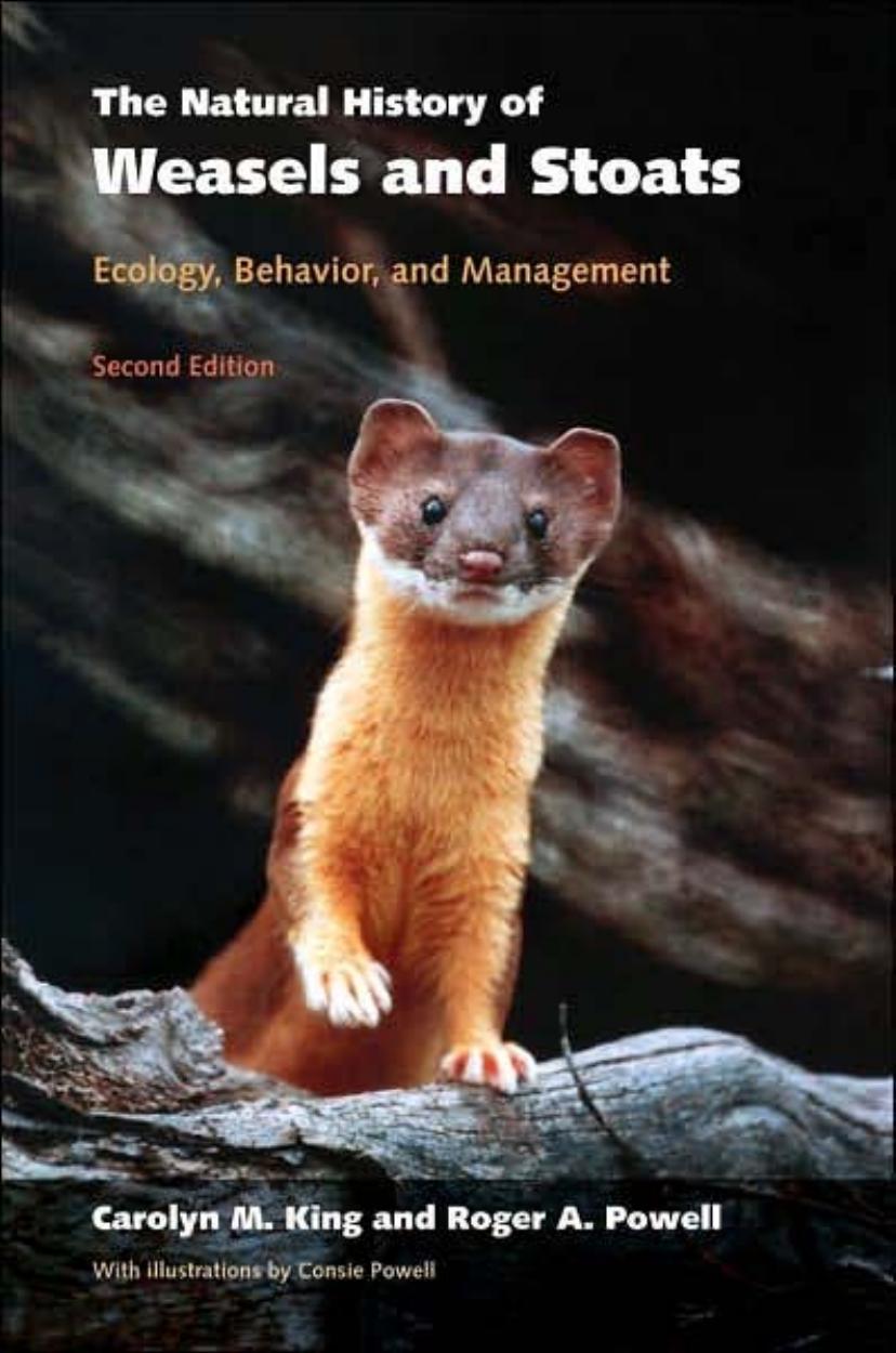 The Natural History of Weasels and Stoats: Ecology, Behavior, and Management by Carolyn M. King Roger A. Powell