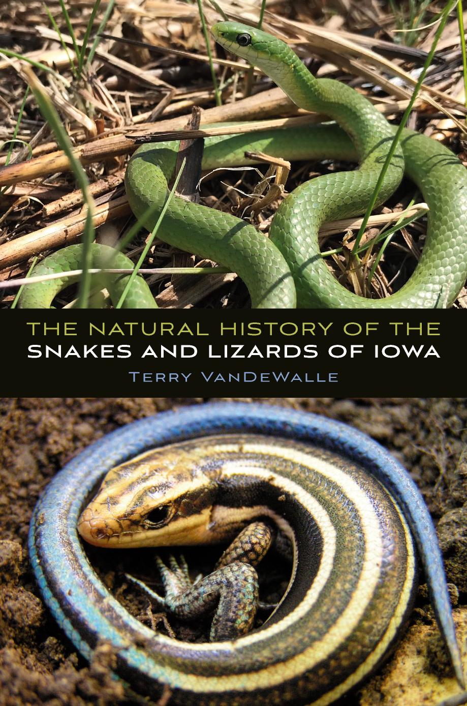 The Natural History of the Snakes and Lizards of Iowa by Terry VanDeWalle