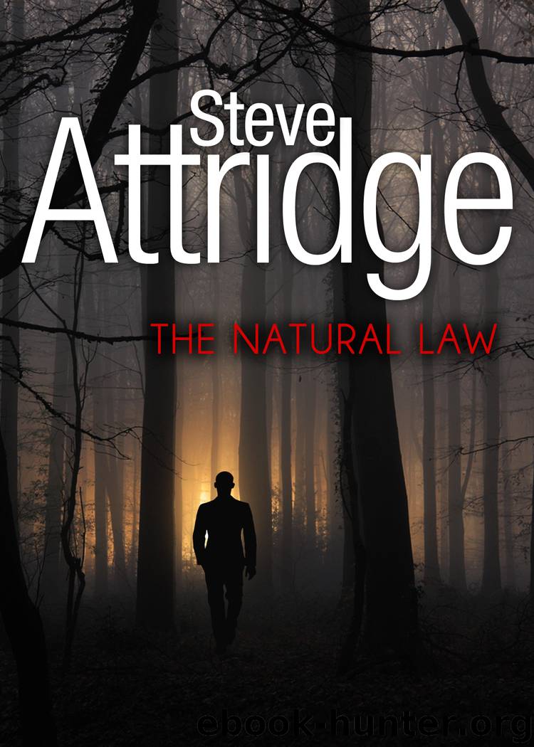 The Natural Law by Steve Attridge
