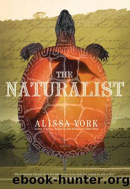 The Naturalist by Alissa York