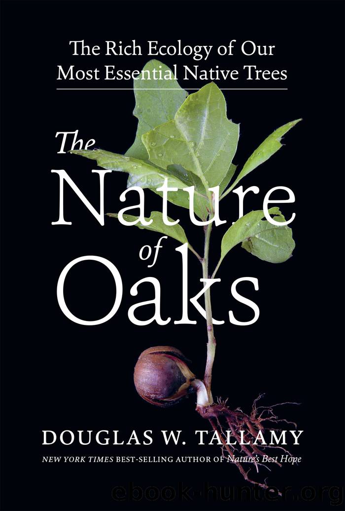 The Nature of Oaks by Douglas W. Tallamy