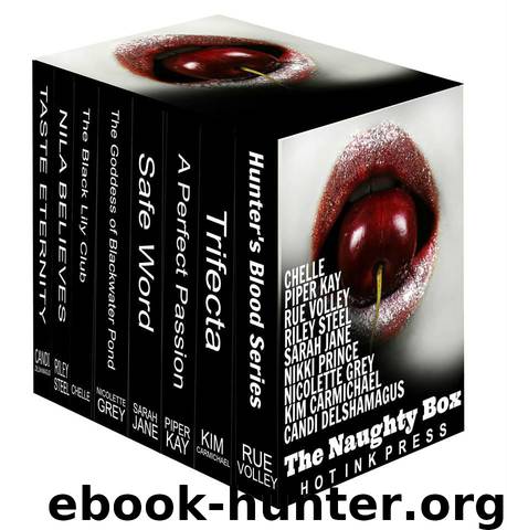 The Naughty Box (9 books in 1 box set) by Davis SJ & Steel Riley & Volley Rue & Kay Piper & Chelle & Carmichael Kim & Delshamagus Candi & Prince Nikki & Grey Nicolette