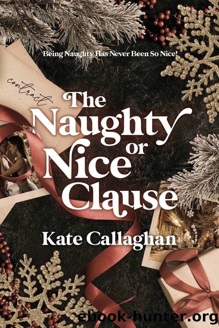 The Naughty Or Nice Clause by Kate Callaghan