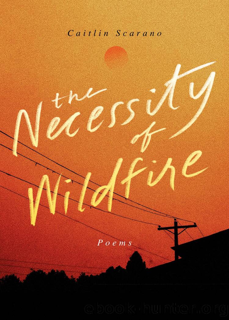 The Necessity of Wildfire by Caitlin Scarano