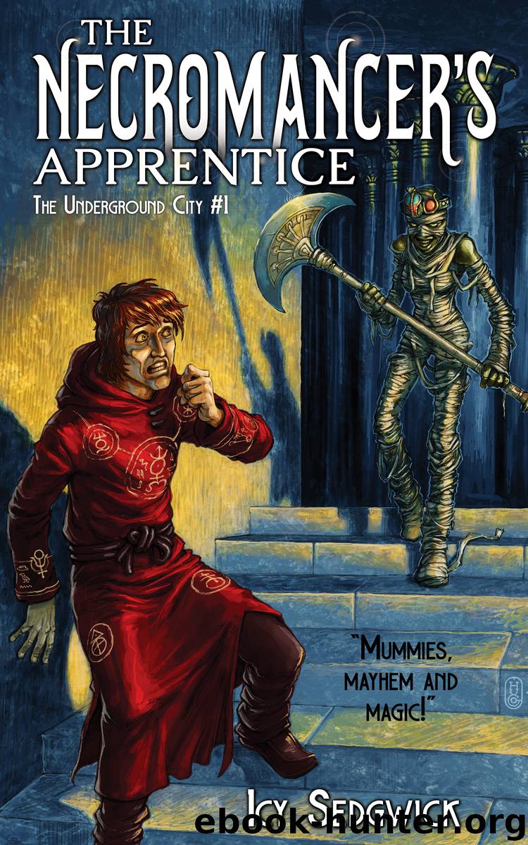 The Necromancer's Apprentice by Icy Sedgwick