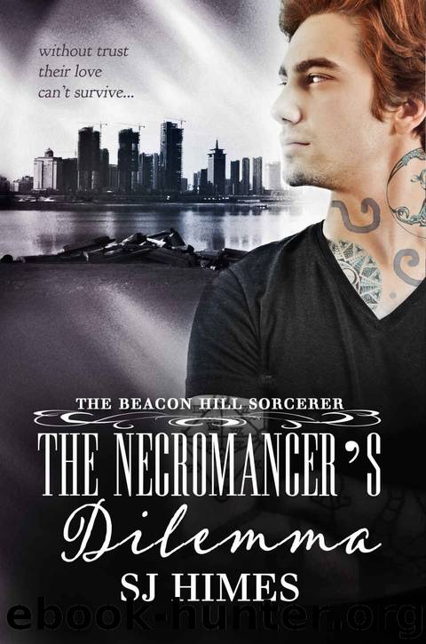 The Necromancer's Dilemma (The Beacon Hill Sorcerer Book 2) by SJ Himes