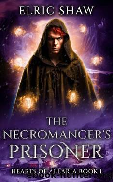The Necromancer's Prisoner (Hearts of Allaria Book 1) by Elric Shaw