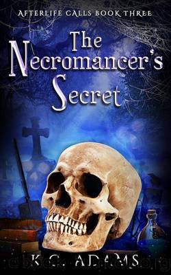 The Necromancer's Secret by K.C. Adams