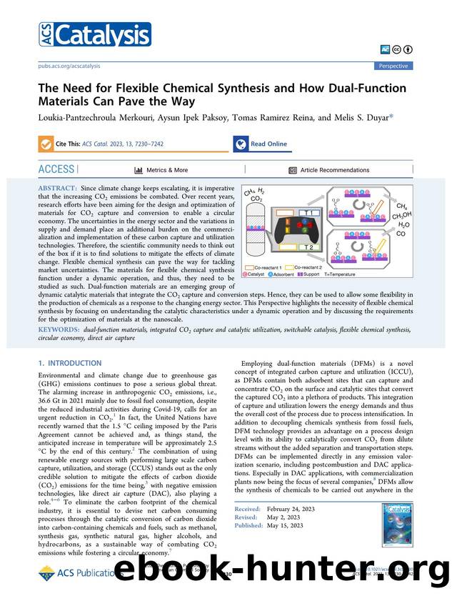 The Need for Flexible Chemical Synthesis and How Dual-Function Materials Can Pave the Way by Loukia-Pantzechroula Merkouri Aysun Ipek Paksoy Tomas Ramirez Reina and Melis S. Duyar