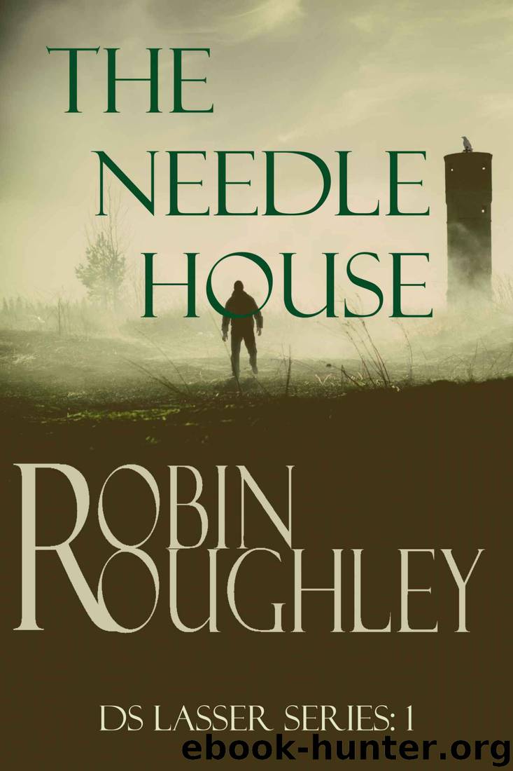 The Needle House by Robin Leslie Roughley