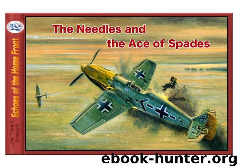 The Needles and the Ace of Spades: The rise and demise of German Ace fighter pilot. (Echoes of the Home Front Book 13) by John Howard Worsley