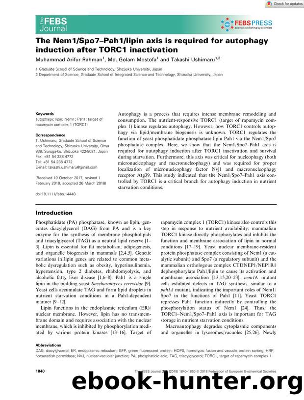 The Nem1Spo7âPah1lipin axis is required for autophagy induction after TORC1 inactivation by Unknown