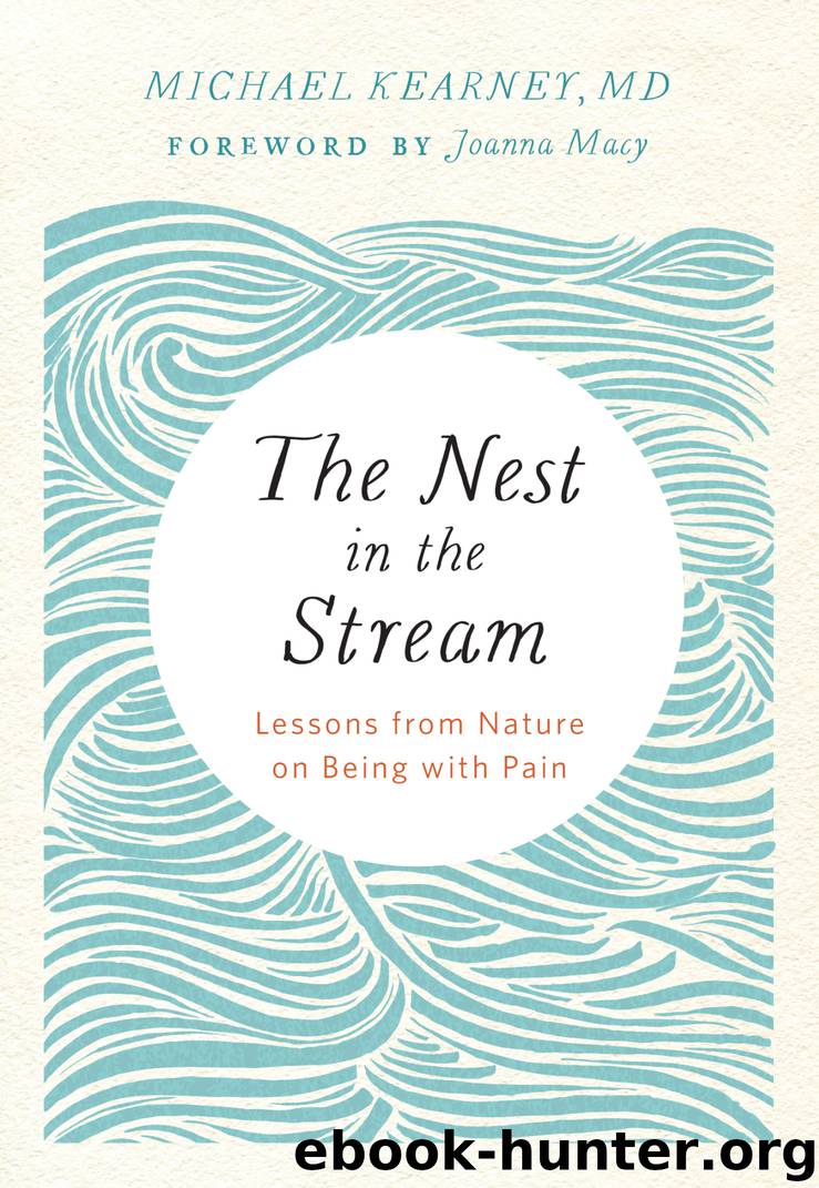 The Nest in the Stream by Michael Kearney MD