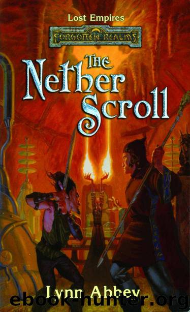 The Nether Scroll by Lynn Abbey