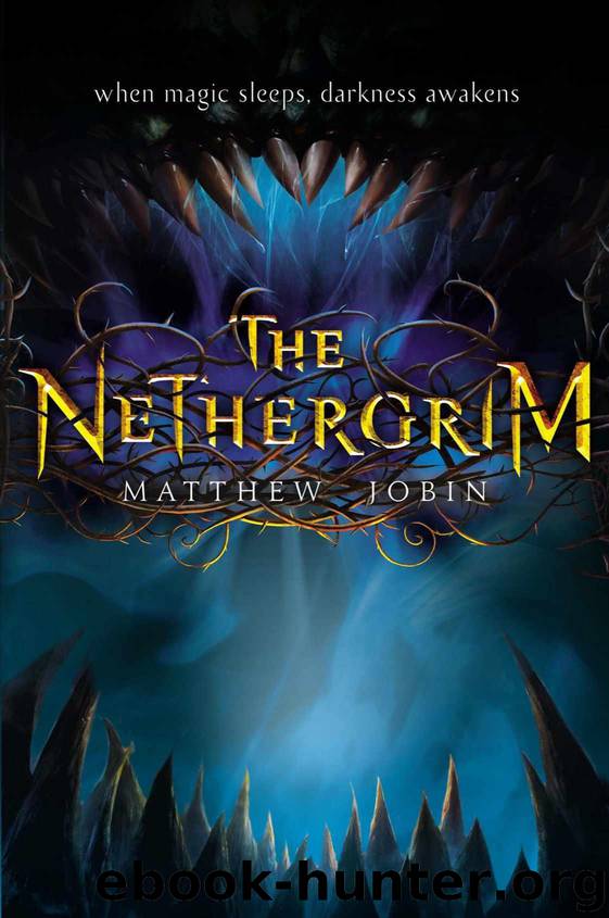 The Nethergrim by Jobin Matthew