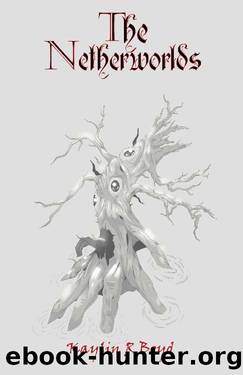 The Netherworlds : The Curse of Fate by Kaylin R. Boyd