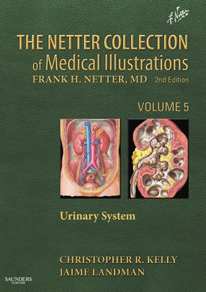 The Netter Collection of Medical Illustrations - Urinary System by Landman Jaime. Netter Frank H. Kelly Christopher R