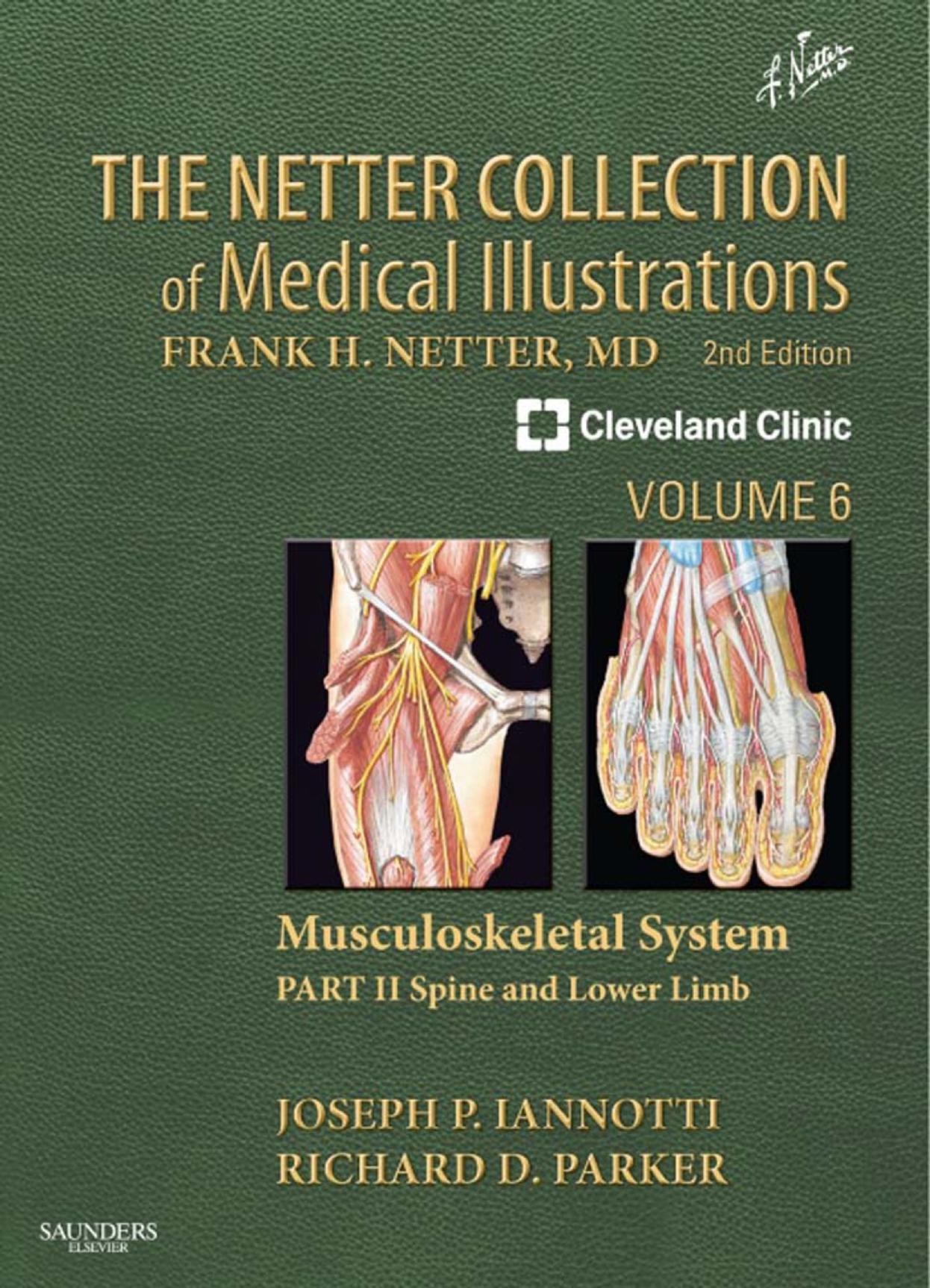 The Netter Collection of Medical Illustrations by Iannotti Joseph P. Netter Frank H. Parker Richard