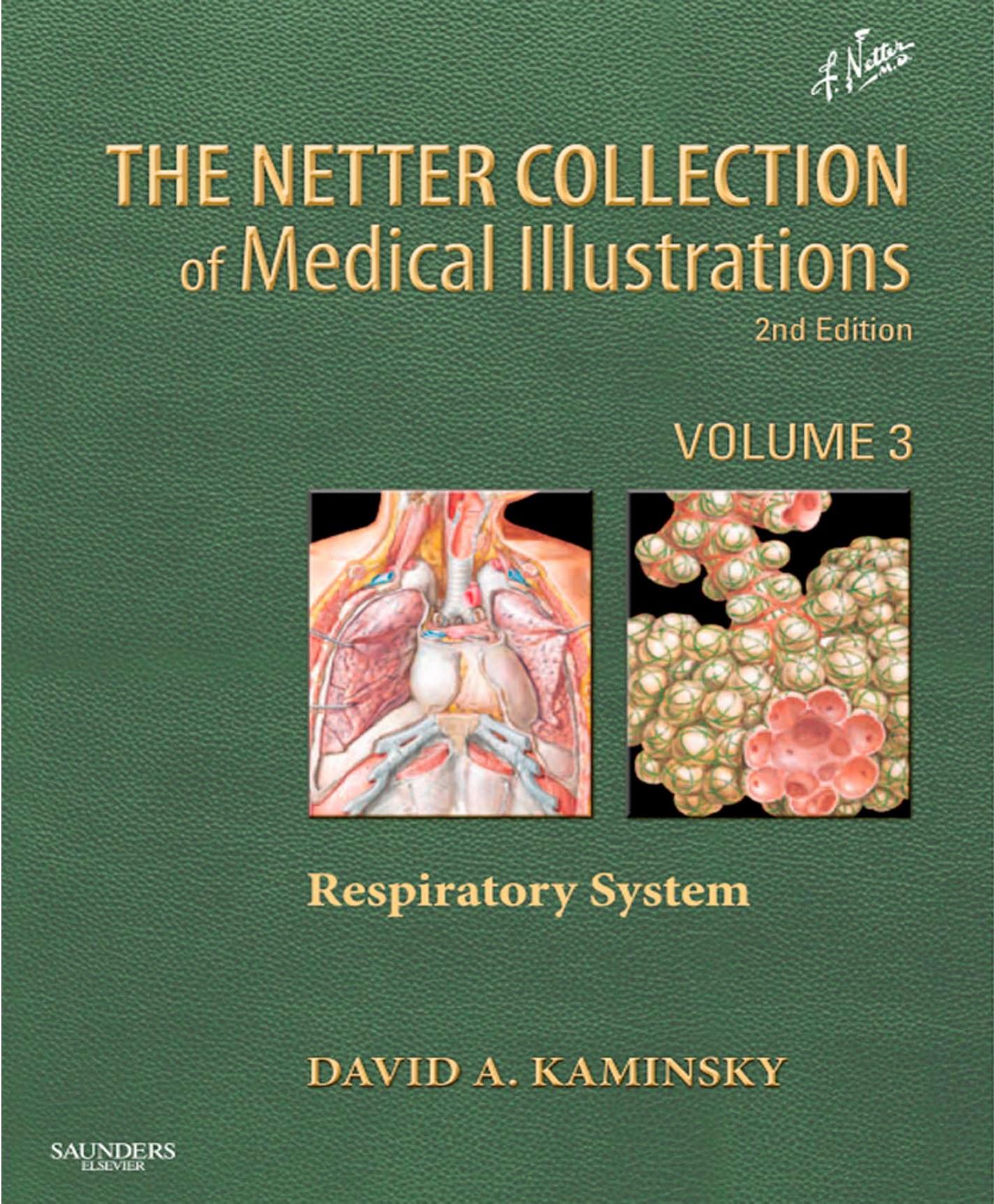 The Netter Collection of Medical Illustrations by Machado Carlos A. G. Craig John A. Kaminsky David A. Netter Frank H