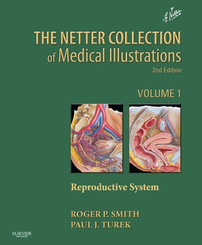 The Netter Collection of Medical Illustrations by Machado Carlos A. G. Craig John A. Netter Frank H. Smith Roger P. Turek Paul J
