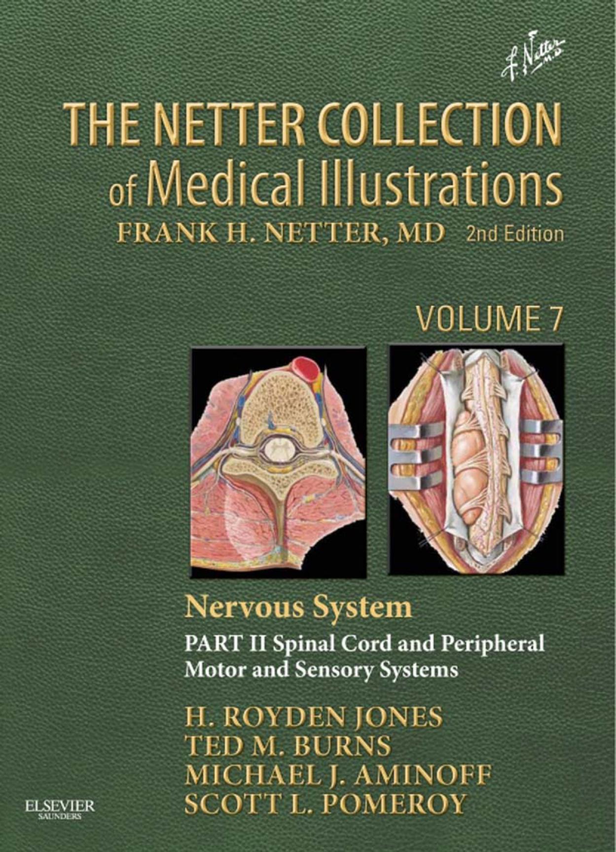 The Netter Collection of Medical Illustrations: Nervous System, Volume 7, Part II - Spinal Cord and Peripheral Motor and Sensory Systems, 2e by H. Royden Jones Jr. Jr