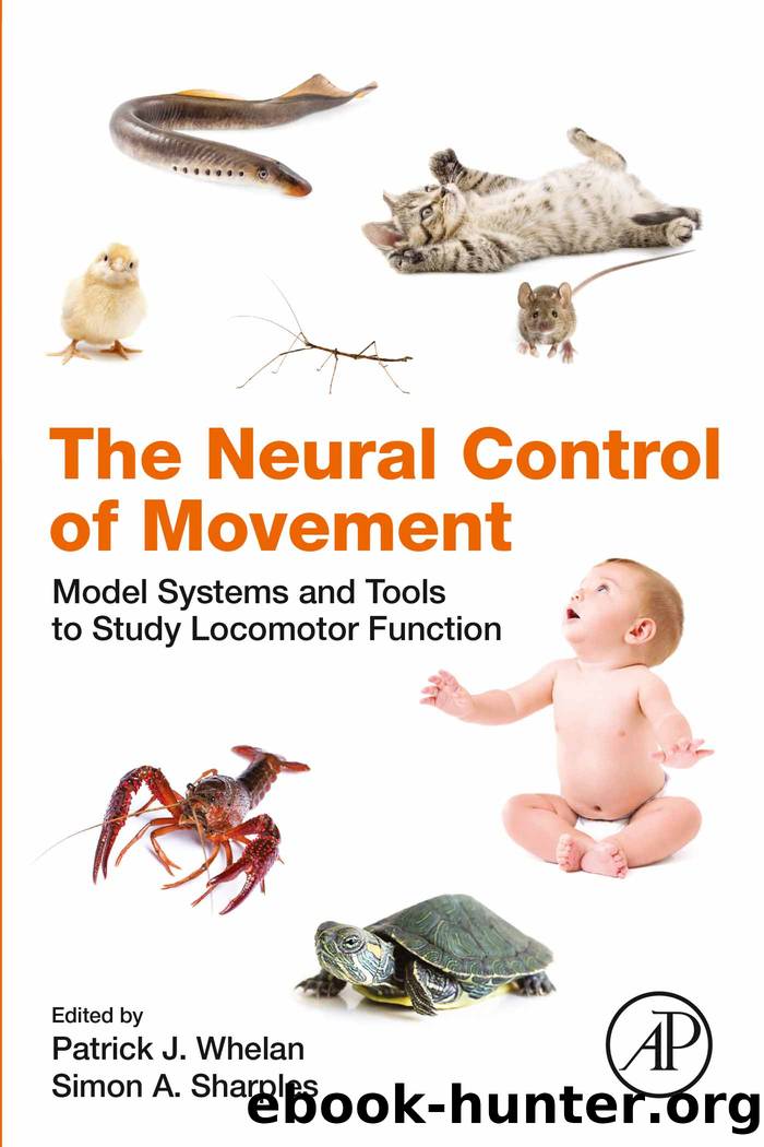 The Neural Control of Movement by Unknown