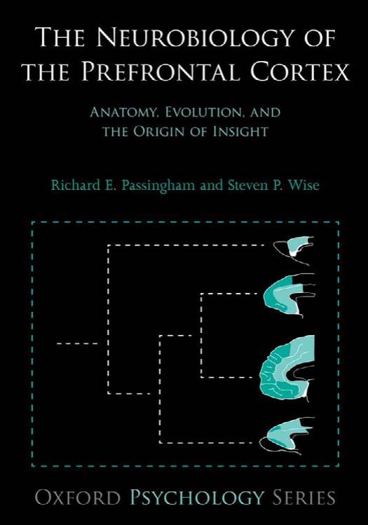 The Neurobiology of the Prefrontal Cortex: Anatomy, Evolution, and the Origin of Insight by Richard E. Passingham Steven P. Wise