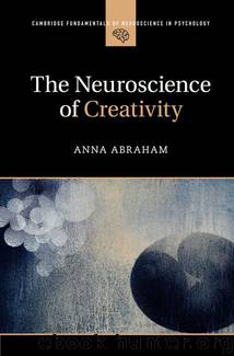 The Neuroscience of Creativity (Cambridge Fundamentals of Neuroscience in Psychology) by Abraham Anna