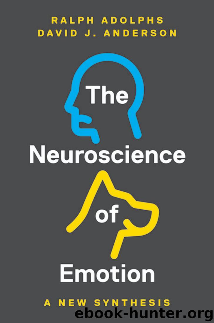 The Neuroscience of Emotion: A New Synthesis by Ralph Adolphs