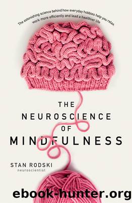 The Neuroscience of Mindfulness by Stan Rodski