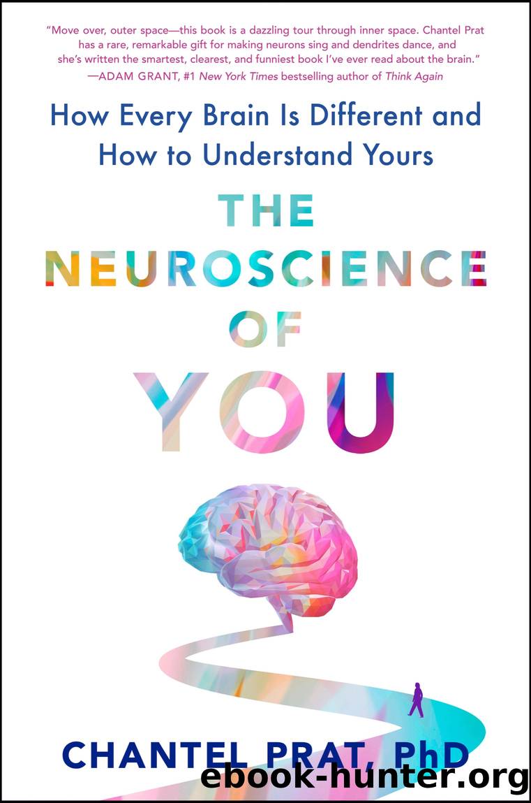 The Neuroscience of You by Chantel Prat