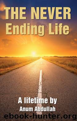 The Never Ending Life by Anum Abdullah