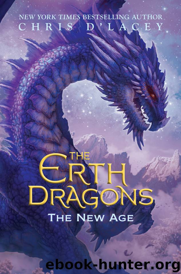 The New Age by Chris d'Lacey