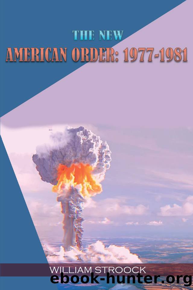 The New American Order: 1977-1981 by William Stroock & alternate history
