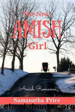 The New Amish Girl (Amish Foster Girls Book 3) by Samantha Price