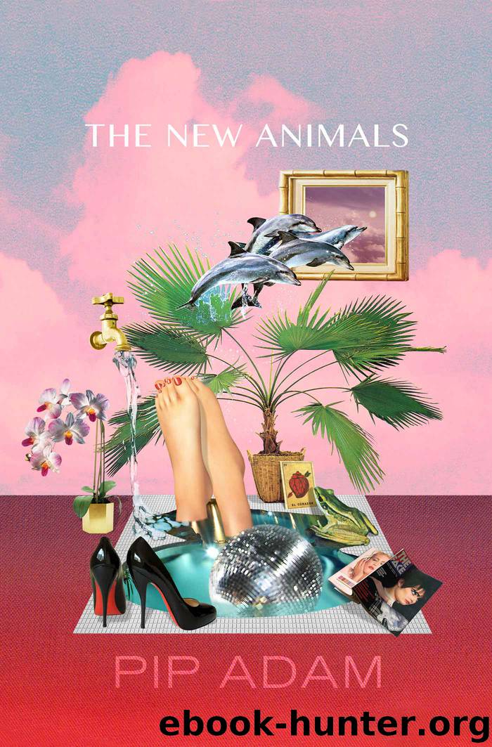 The New Animals by Pip Adam