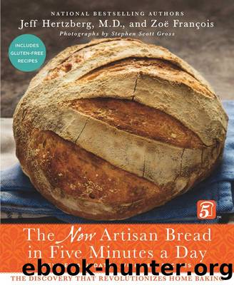 The New Artisan Bread in Five Minutes a Day: The Discovery That Revolutionizes Home Baking by Jeff Hertzberg MD & Zoë François