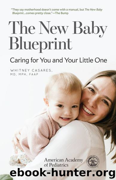 The New Baby Blueprint by Whitney Casares